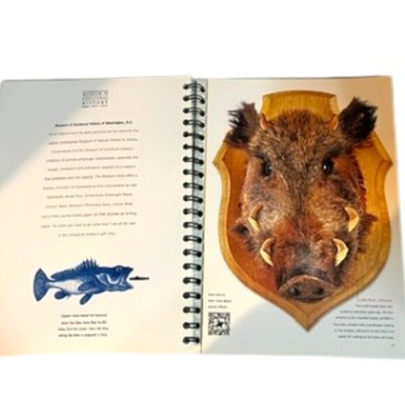 SAPPI THE STANDARD VOL 5 SPECIAL EFFECTS GRAPHIC DESIGN PRINTING GUIDE BOOK - Picture 8 of 11